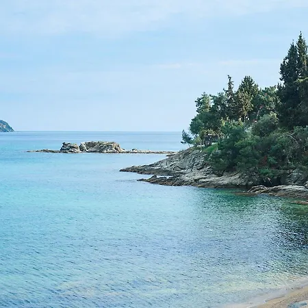 Ikia A Mare PalaiónTsiflíkion