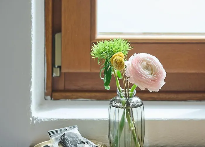 Ikia A Mare PalaiónTsiflíkion